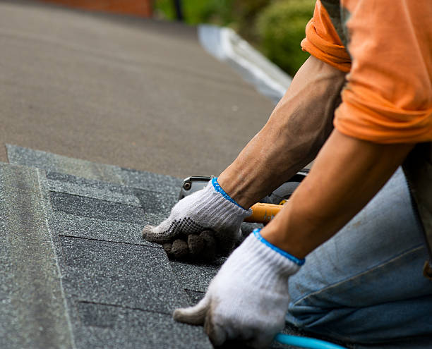 Best Green or Eco-Friendly Roofing Solutions  in Richmond Heights, FL